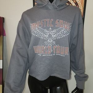Hollister Mystic Gray World Tour Hoodie NWT Size L